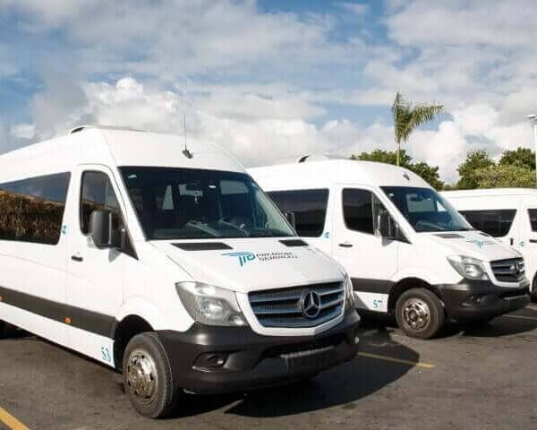 Montisa Travel | Best Tours and Airport Transfers in Punta Cana 2025