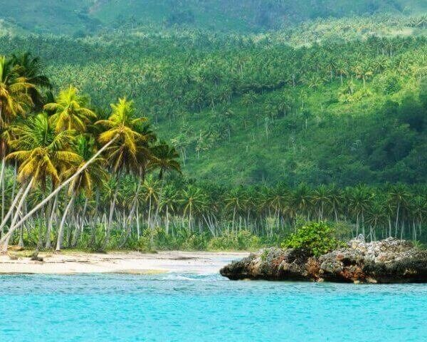 Montisa Travel | Best Tours and Airport Transfers in Punta Cana 2025