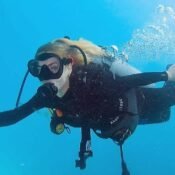 Montisa Travel | Best Tours and Airport Transfers in Punta Cana 2025