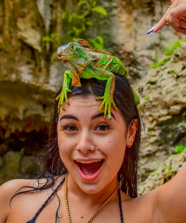 Punta Cana Tours and Airport Transfers | Montisa Travel