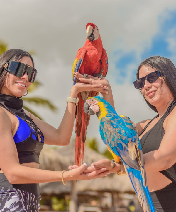 Punta Cana Tours and Airport Transfers | Montisa Travel