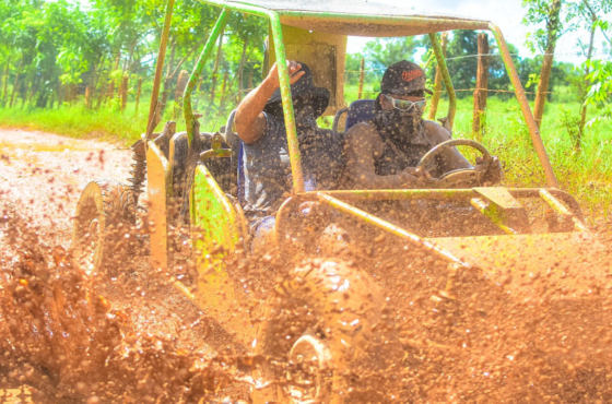 Dune Buggies Adventure