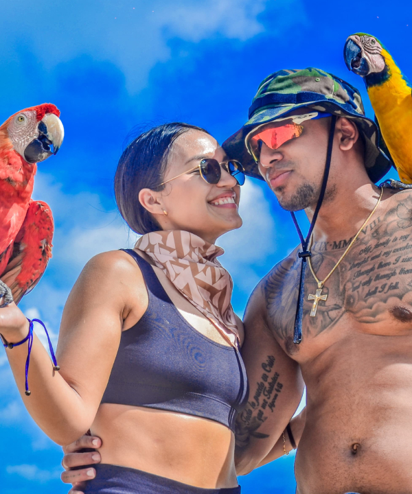 Punta Cana Tours and Airport Transfers | Montisa Travel