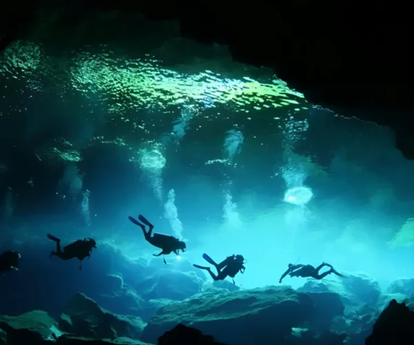 Cave Diving