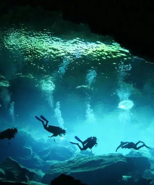 Punta Cana Tours and Airport Transfers | Montisa Travel