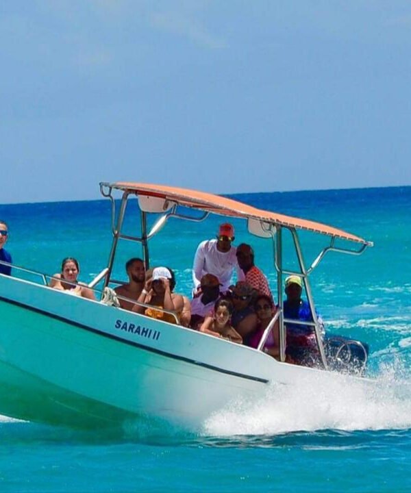 Punta Cana Tours and Airport Transfers | Montisa Travel