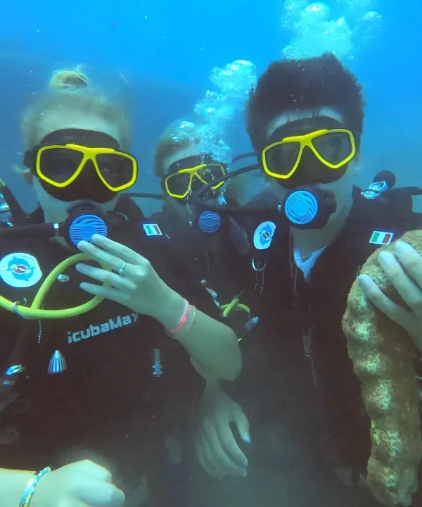 Punta Cana Tours and Airport Transfers | Montisa Travel