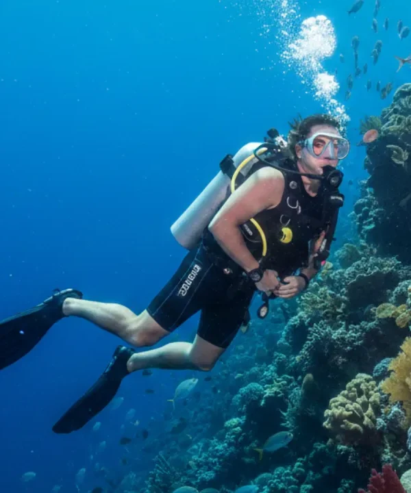 Punta Cana Tours and Airport Transfers | Montisa Travel